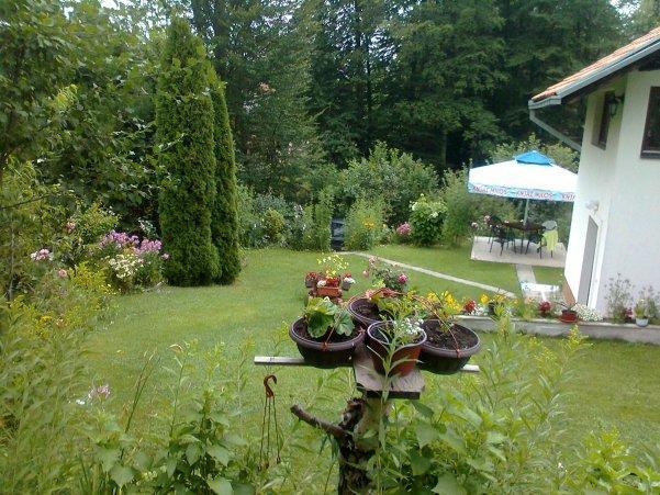 Ab Apartments Zlatibor Kültér fotó